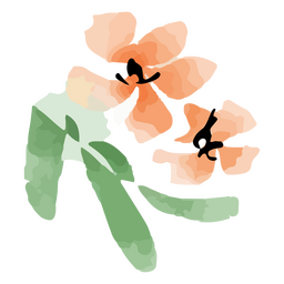 flor aquarela chinesa Desenho PNG