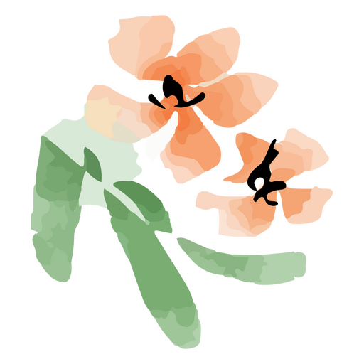 Chinesische Aquarellblume PNG-Design