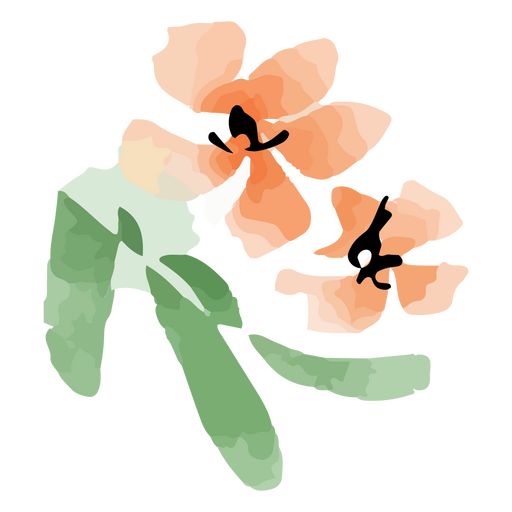 flor aquarela chinesa Desenho PNG