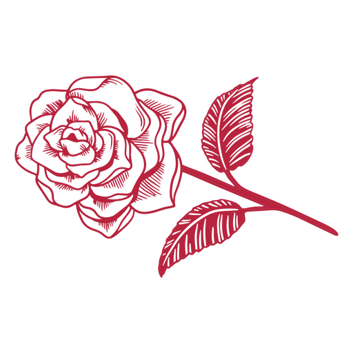 Handgezeichnete Illustration einer roten Rose PNG-Design