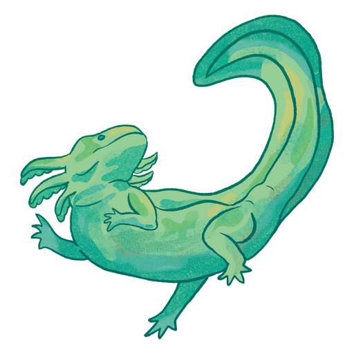Green lizard PNG Design