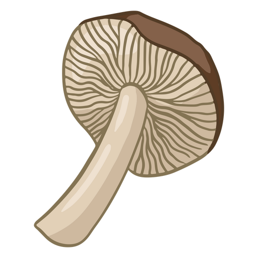 Mushroom simple illustration PNG Design