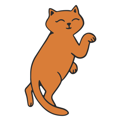 Gato laranja está de pé sobre as patas traseiras Desenho PNG