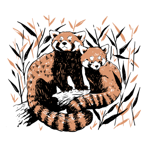 Dibujo ilustrativo de dos pandas rojos. Diseño PNG