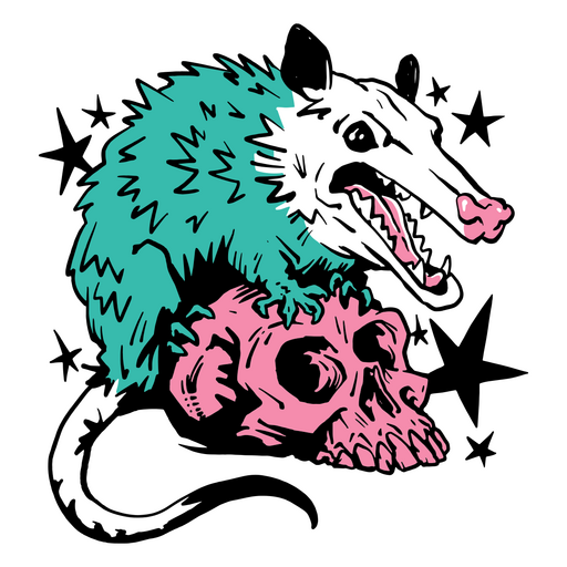Opossum sitzt auf einem Sch?del PNG-Design