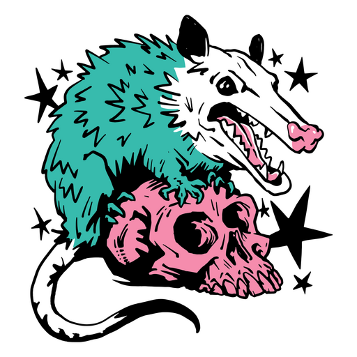 Opossum sitzt auf einem Schädel PNG-Design