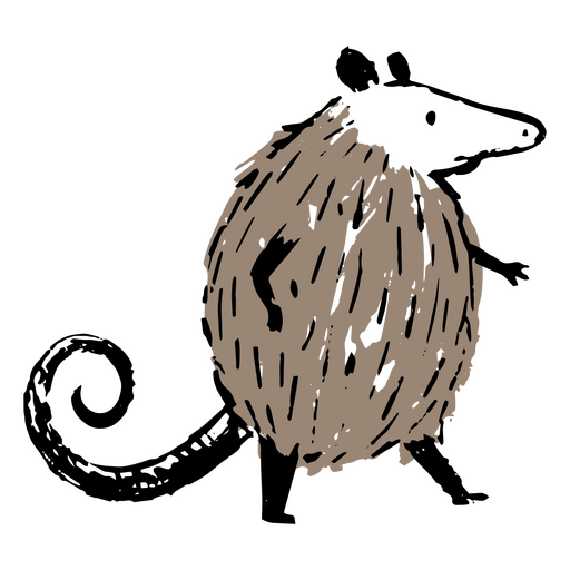 Zeichnung eines wandelnden Opposums PNG-Design