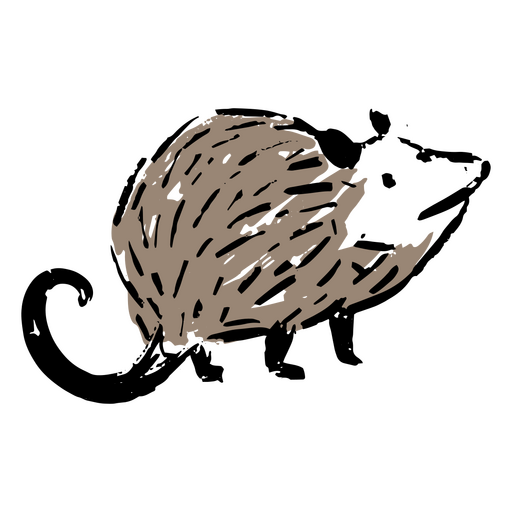 Drawing of an opossum looking up PNG Design