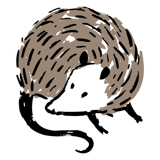 Dibujo negro y marrón de una zarigüeya. Diseño PNG