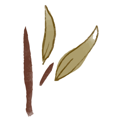 Desenho de duas folhas Desenho PNG