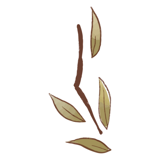 Leaf with brown leaves PNG Design