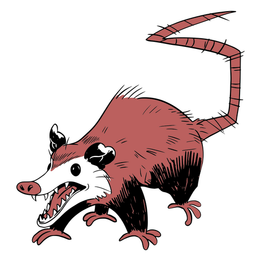 Illustration of an opossum with its mouth open PNG Design