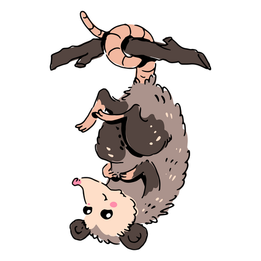 Opossum h?ngt an einem Ast PNG-Design