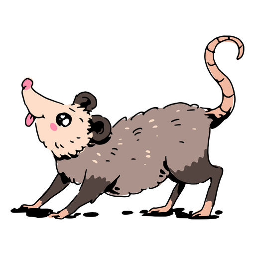 Cartoon opossum is standing PNG Design