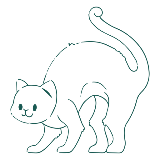 el gato esta parado Diseño PNG