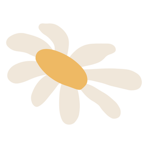 Verspieltes Gänseblümchen-Blumendesign PNG-Design