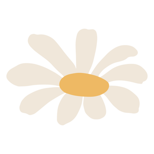 Charmante Gänseblümchen-Blumenillustration PNG-Design