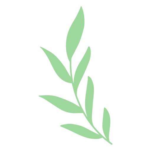 Ilustração elegante de folhas para amantes da natureza Desenho PNG