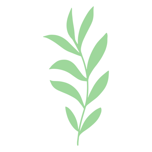 Simple green tree branch with leaves PNG Design