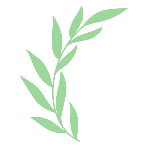 Green branch with leaves flat PNG Design