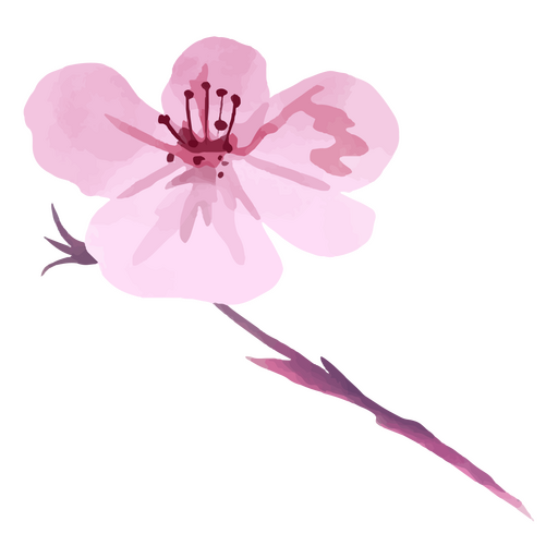 Pink cherry blossom flower PNG Design