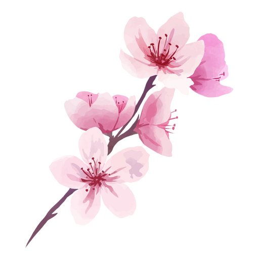 Rama de flores de cerezo rosa Diseño PNG