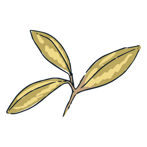 Illustration of a leaf PNG Design