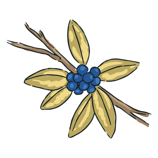 Branch with blueberries and leaves on it PNG Design