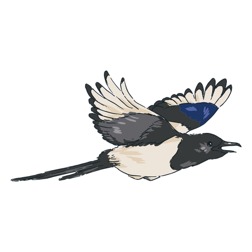 Pássaro preto e branco voando Desenho PNG