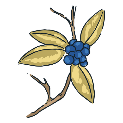 Zweig mit blauen Beeren darauf PNG-Design