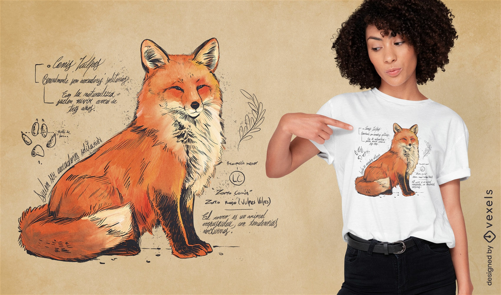 Estudio de un diseño de camiseta de zorro.