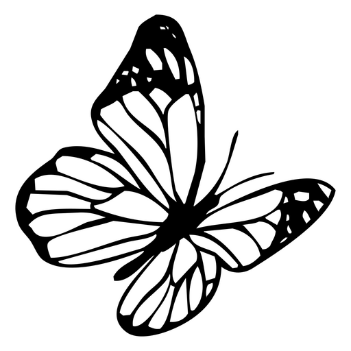 Mariposa blanca en l?neas negras. Diseño PNG