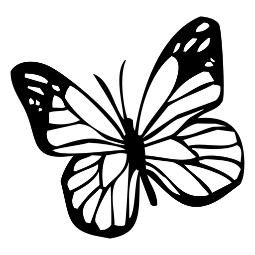 Silueta de mariposa blanca con contorno negro. Diseño PNG