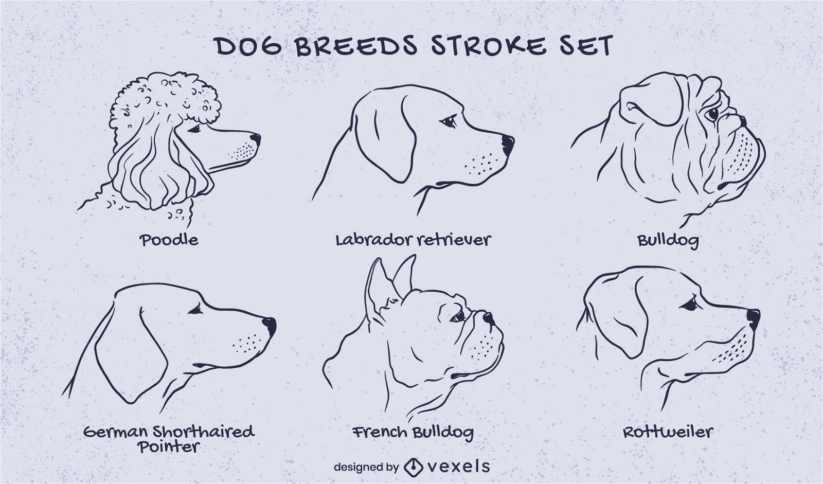 Dogs of different breeds stroke set