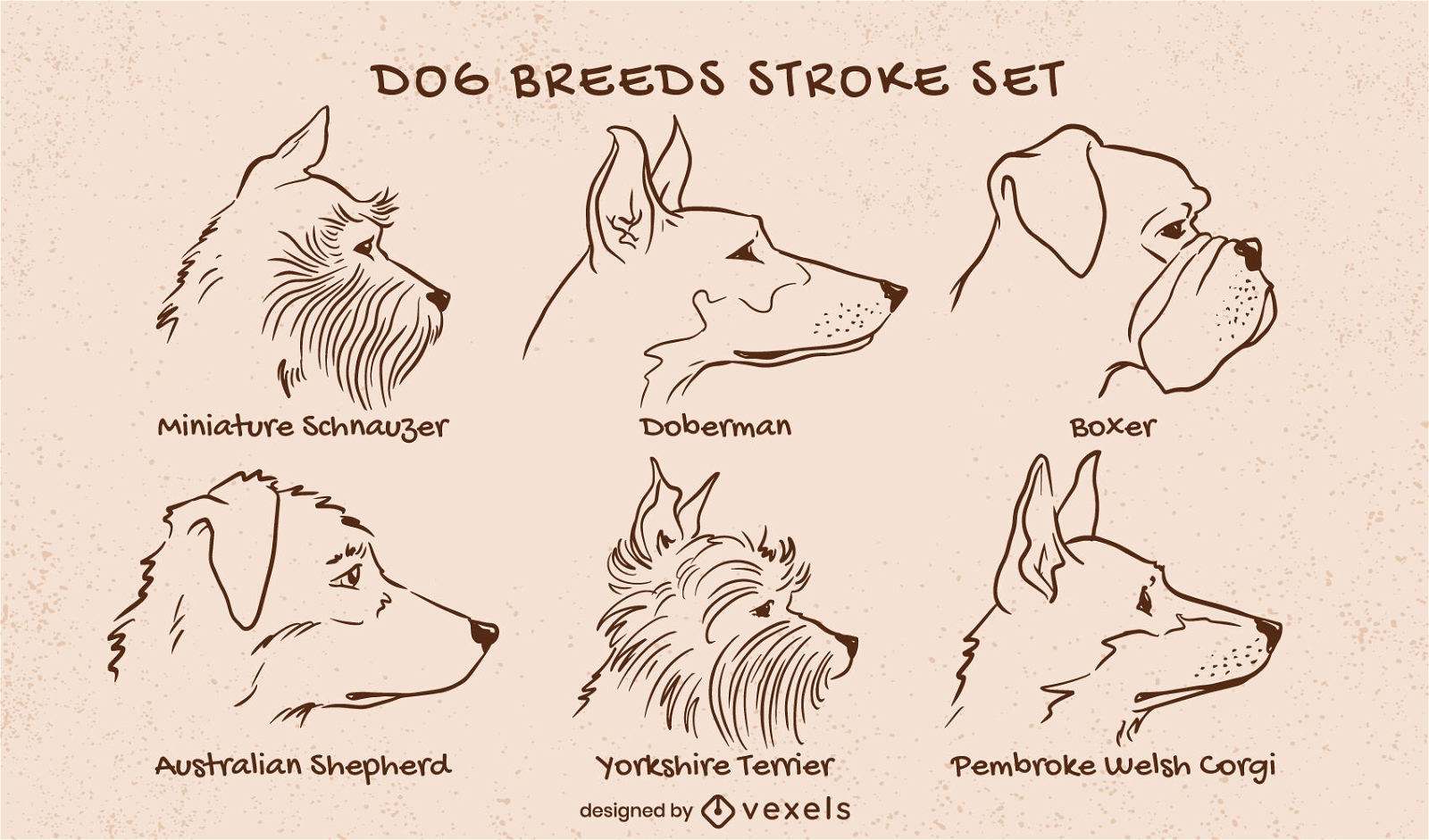 Conjunto de traços de animais de diferentes raças de cães