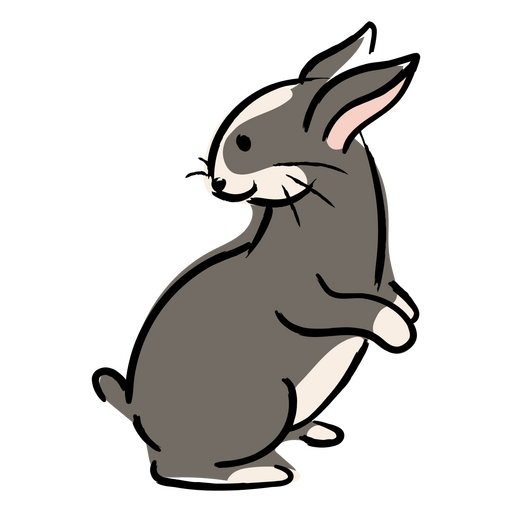 Conejo gris y blanco sentado sobre sus patas traseras Diseño PNG