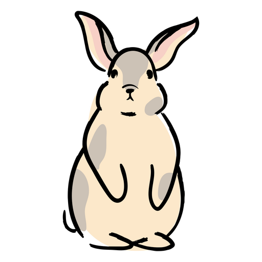 Conejo de dibujos animados sentado Diseño PNG
