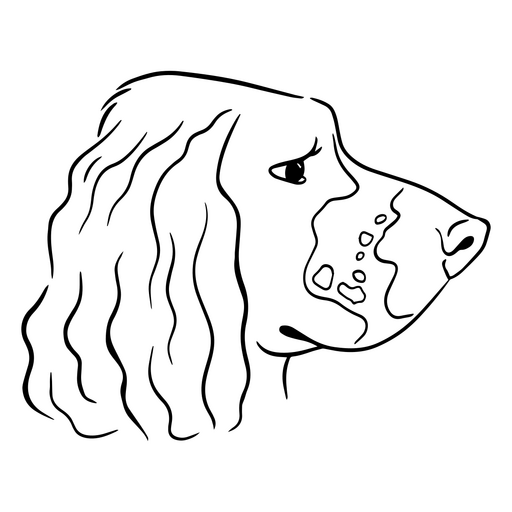 Design de ilustração artística de cachorro de pelo encaracolado Desenho PNG