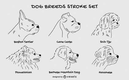 Conjunto de arte de linha de animais de raça de cachorro fofo