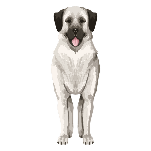 White dog standing PNG Design