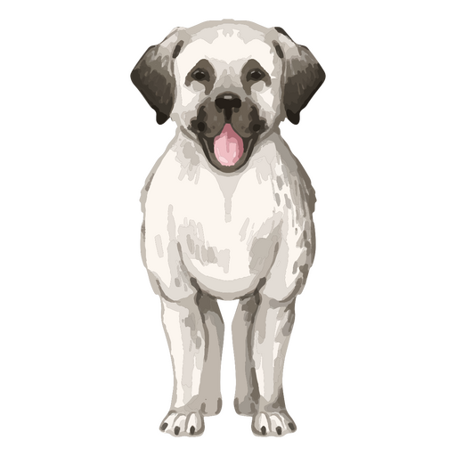 El perro blanco está parado Diseño PNG