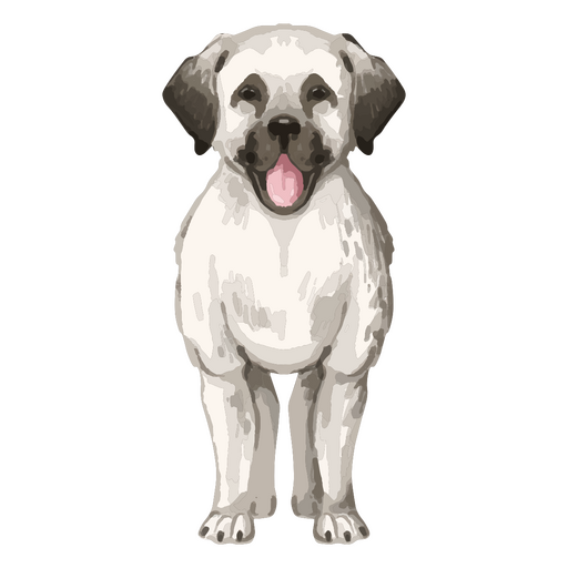 White dog is standing PNG Design