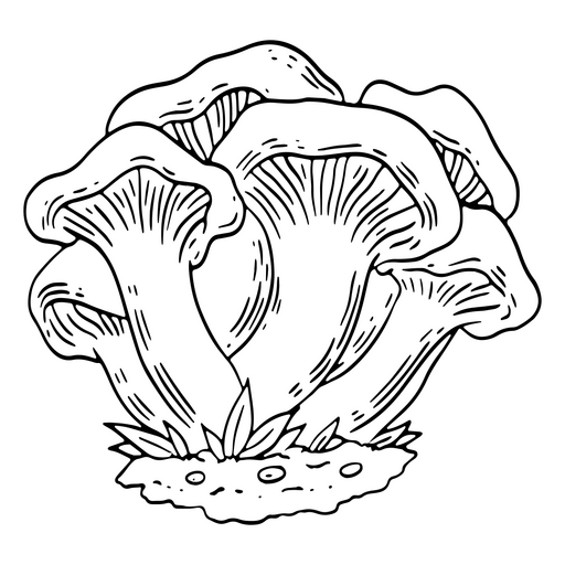 Ilustração detalhada de cogumelo com linhas intrincadas Desenho PNG