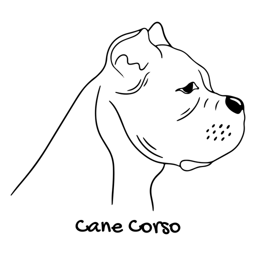 Ilustração minimalista de cane corso Desenho PNG