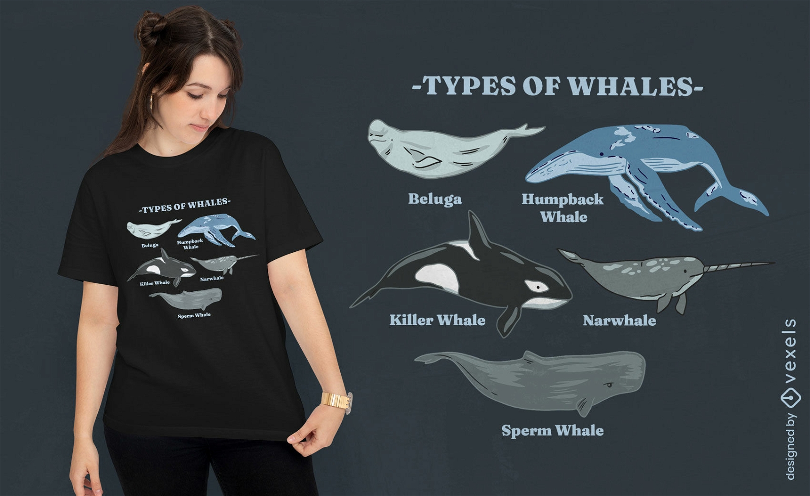 Tipos de dise?o de camiseta de ballenas.