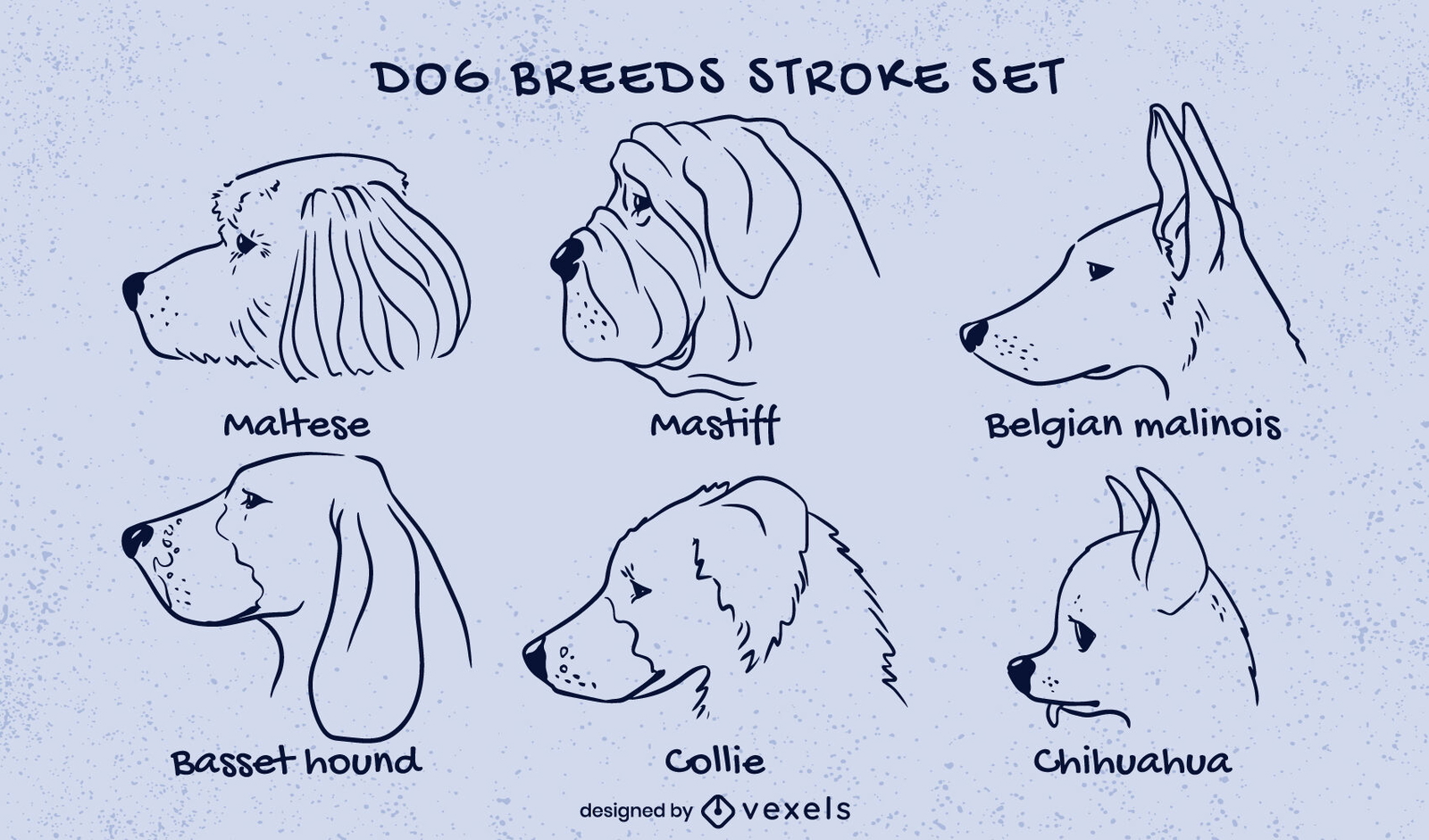 Dog breeds head stroke set