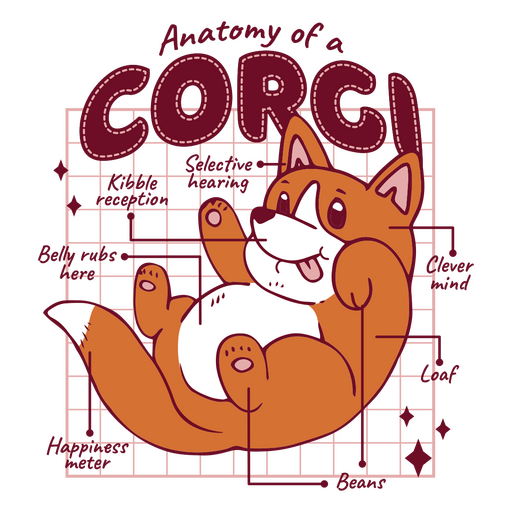 Anatomie eines süßen Corgi-Hundes PNG-Design