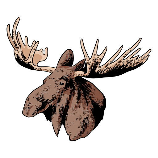 Illustration of a moose head PNG Design