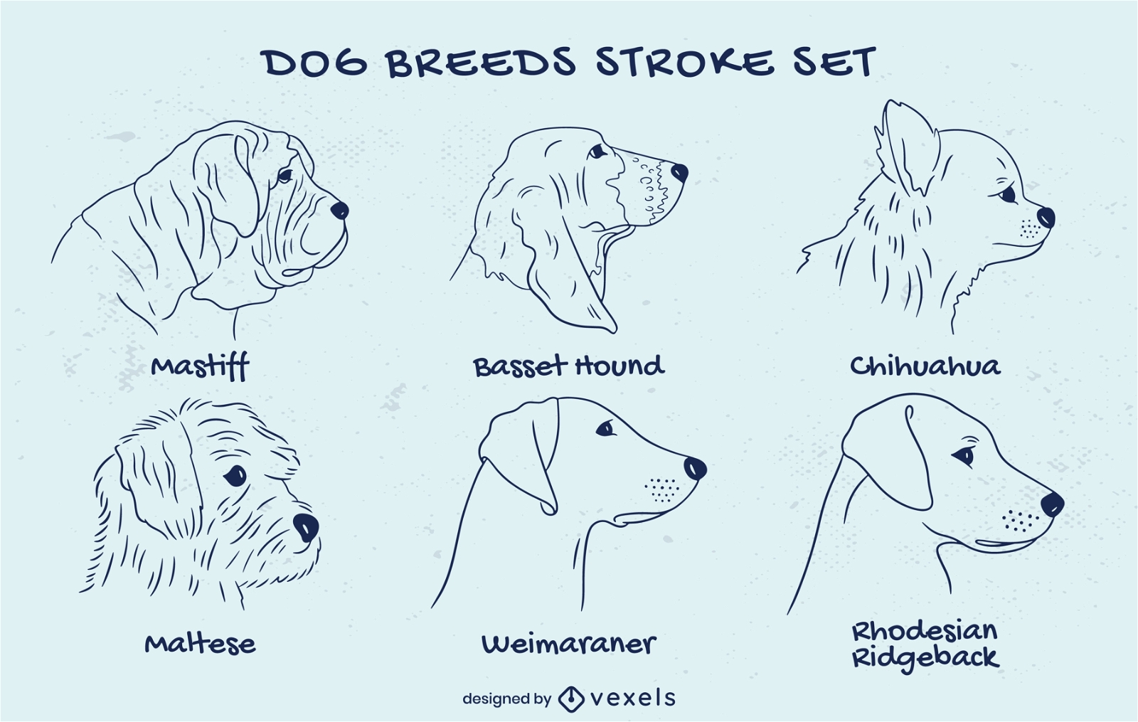 Different dog breeds stroke set