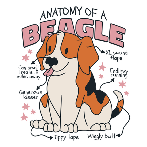 Anatom?a de un beagle Diseño PNG